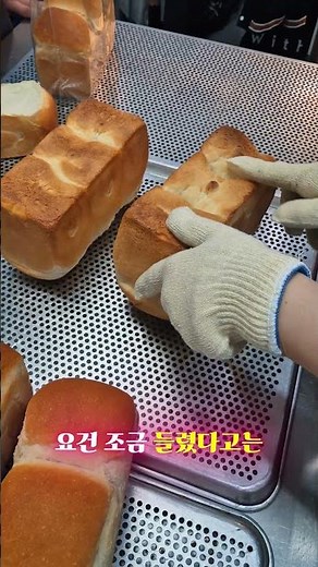 제빵기능사 우유식빵🍞 제과제빵 자격증은 역시 위드제과제빵커피학원👍 #제과제빵 #제빵 #제빵기능사 #제빵자격증 #위드제과제빵커피학원