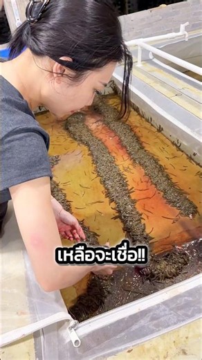 I bet many of you have never seen the eggs of this creature #storytelling #viral #documentary