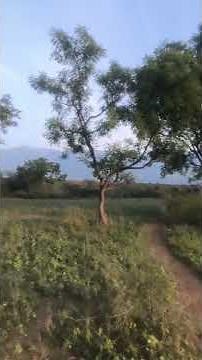 Second Movie Shooting Spot