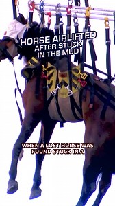 2.6K views · 151 reactions | This weekend on #HeartsofHeroesTV: Firefighters face a muddy challenge as they work to save a horse stuck in a riverbank. Don’t miss it on ABC—check your local listings! | Hearts of Heroes | Facebook