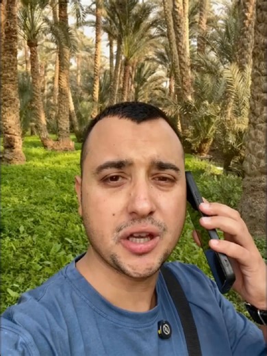 Learn Egyptian Arabic Phrases for Daily Conversations