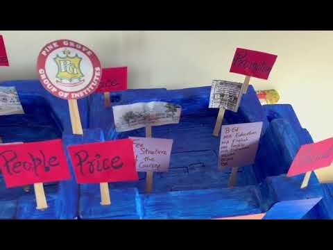 Marketing project on topic of Marketing Mix 