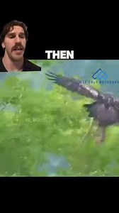 14M views · 209K reactions | Raptor supremacy #raptor #raptors #birds #birdsofprey #bigbirds #animal #animals #outdoors #nature | Ice Colt Outdoors | Facebook