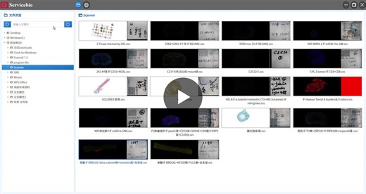 Multiplex Immunofluorescence Analysis with Servicebio Scanner and AIpathwell Software | Grace Wu posted on the topic | LinkedIn