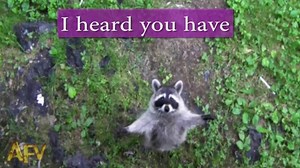 48K views · 30K reactions | Don't worry if you haven't got a date for...