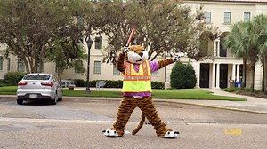 Before you or your Tiger make LSU home, watch this Move-In Day instructional video. Check out this packing checklist from LSU Residential Life: https://www.lsu.edu/reslife/incoming/move-in/packingchecklist.php | LSU