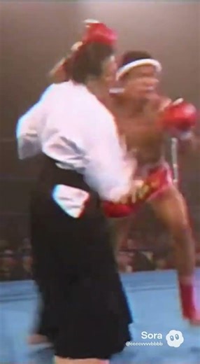 Thai vs Aikido master