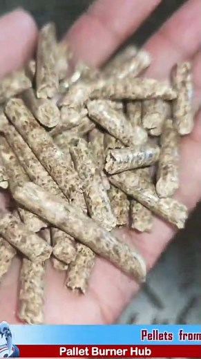 Wood Pellets from Wood Chips