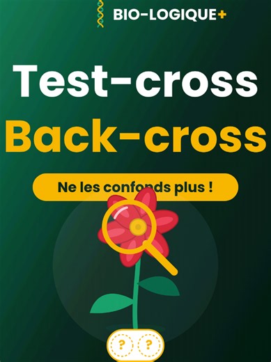 Test cross vs Back cross : différence claire pour Terminale (SVT)