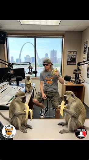 Multiple monkeys are actually on the loose in St. Louis right now. Animal Care & Control says they’re real monkeys (not AI, not a prank), and as of today they’re still trying to figure out where they came from and how many there are. The internet, of course, has handled this calmly and normally. 🐒 Meanwhile… a few of them wandered into the KSHE 95 studios. I was hesitant about putting them to work — you hear stories — but so far they haven’t flung anything offensive, they’re showing up on time,