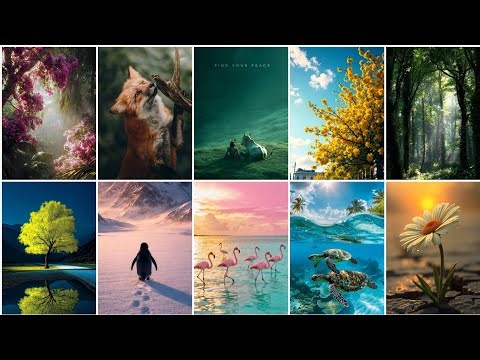 Aesthetic Nature Wallpaper Photos, Images, Pics 🌿| Nature Wallpaper for phone| New Nature Wallpaper