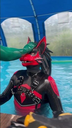 Petting a rubber wolf in a pool. #latex #rubber #rubberfur #latexfur #furry