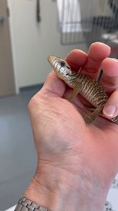 23 reactions · 3 comments | What's hiding under there? Check out this...