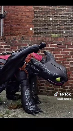 How to Create a Toothless Dragon Cosplay