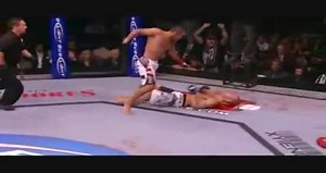 Dan henderson knocks out bisping
