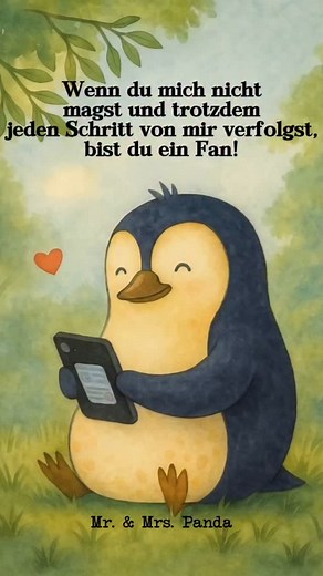 4.5K views · 650 reactions | Man kann es benennen, wie man will, aber wenn man über Monate und Jahre die gleichen Account stalkt, ist man ein riesen Fan! ☀️ | Mr. & Mrs. Panda | Facebook