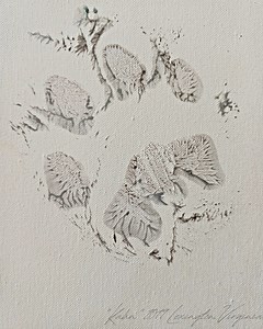 Real Tiger Painting - Paw Print Digital Copy - Printable 8x10 PNG - Etsy