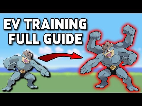 How Pokemon Pro's Train their Pokemon