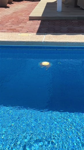 Reemplazo de lámpara de piscina Amerlite en 500 watts