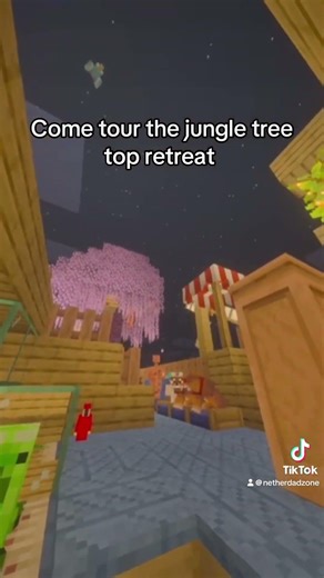 Jungle Treetop Library & Sleeping Area Tour🌿📚