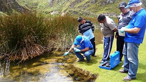 ONG Mundo Azul: Algunos estudios medioambientales no son transparentes