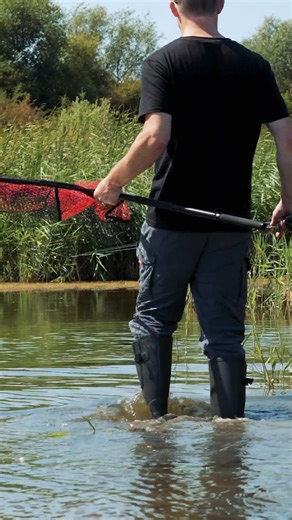 Fox Rage on Instagram: "Land your next big fish with ease using the 1.8M Telescopic Landing Net Pole! This lightweight and efficient handle is perfect for landing fish from steep or overgrown banks 🎣 Ideal for the mobile predator angler, it extends up to 1.8m, providing the reach you need in nearly any landing scenario. Combine it with our 60cm or 75cm net heads (sold separately) for the ultimate telescopic landing net experience."