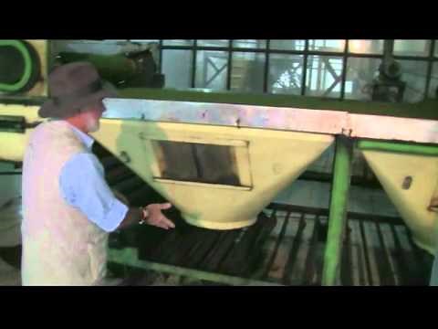 3 - Cut Tear Curl (CTC) Tea Manufacture.mp4