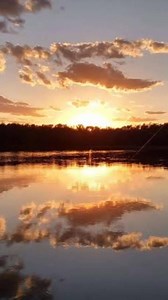 2K views · 96 reactions | "Blues lovers, come celebrate the legendary Elmore James! Follow our page " Elmore James blues Legacy" and dive into the legacy of the slide guitar master.  #KingOfSlide #ElmoreJames #vynilcollection #bluesmusic #StarsEverywhere #culture #vintagevibes #mississipi | Super Blues | Facebook