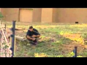 Escape To Chimp Eden; Zeena