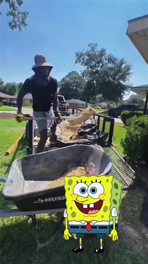 Transforming Your Backyard with Shade Solutions