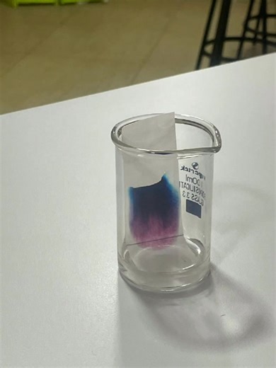 AP chemistry students separating mixtures one color at a time—chromatography in action. ILA International Department | International Leaders Academy اكاديمية القادة الدولية