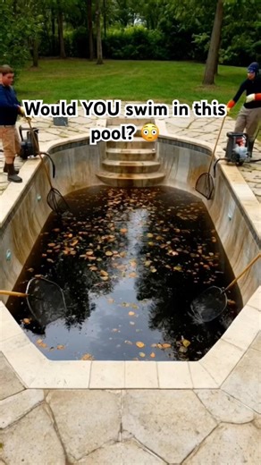 Watch this filthy abandoned pool turn into a crystal-clear luxury oasis. ✨💦 #surface #pool #shorts