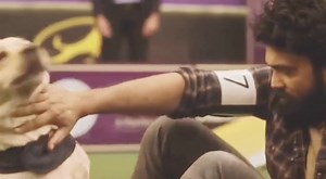 800K views · 42K reactions | Dog Pe Aisi Super Hit Movie South Me Hi Ban Sakti Hai.. #southmovie #movies #southmoviestatus #viral #trending | Bijuli Rani Vlog | Facebook