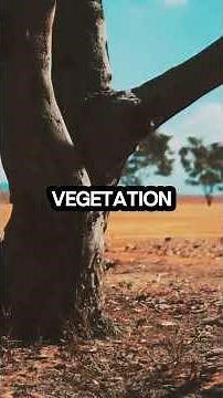 Sahara’s Hidden Past: A Green Paradise 🌍 | Variety Vista #saharadesert #varietyvista89 #shortsfeed