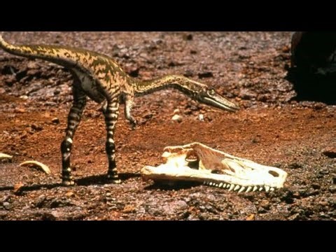 Walking with Dinosaurs (1999): New Blood - Part 1