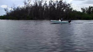 27 reactions · 3 comments | Meet the newest member of the Inshore...