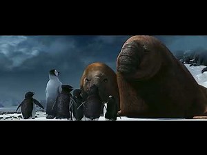 Happy feet elephant seals