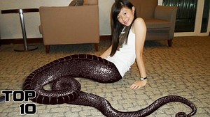 Top 10 Crossbreeding Experiments That Came Straight Out Of Hell | Most Amazing Top 10