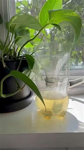 Lay 3 bars of Irish Spring soap on a tray for this brilliant outdoor idea!