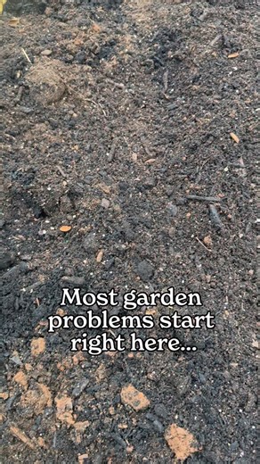 Most garden problems start in the soil. That’s why testing before planting matters! When you understand what your soil actually needs, you stop guessing and stop wasting fertilizer. A soil test gives you clear answers so every plant gets what it needs to grow strong! With the MySoil® Soil Test Kit from Park Seed, you collect a soil sample, mail it in using the pre-posted envelope provided, and receive your results by email making it easy to start where it matters most: the soil! Because healthy 