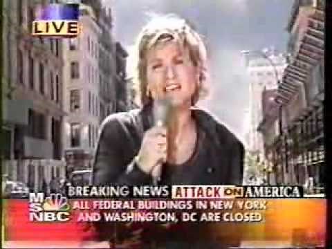 9/11 In Plane Site - Directors Cut