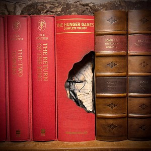 Handmade Hunger Games Book Nook – Katniss Everdeen Diorama - Etsy