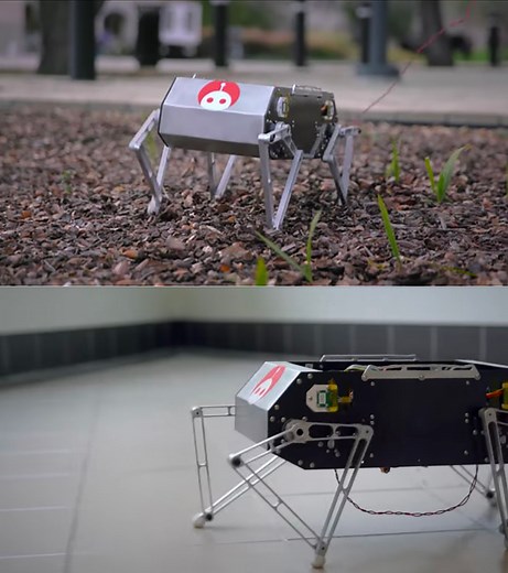 Stanford University Students Unveil Doggo, an Open Source Four-Legged Robot That Can Jump, Trot and Flip
