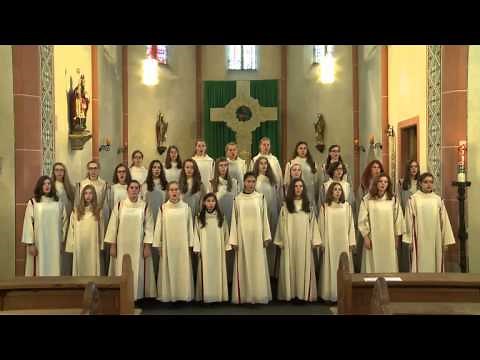 Gotteslobvideo (GL 393): Nun lobet Gott im hohen Thron