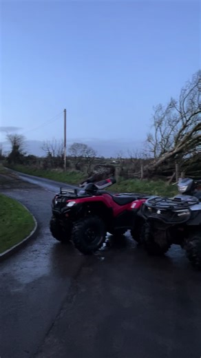 Understanding Bear Claws in Honda Quads