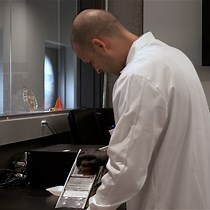 Decellularized Apple-Derived Scaffolds for Bone Tissue Engineering In Vitro and In Vivo