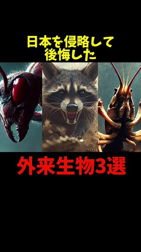 TikTokでアニマルノートさんをチェック！