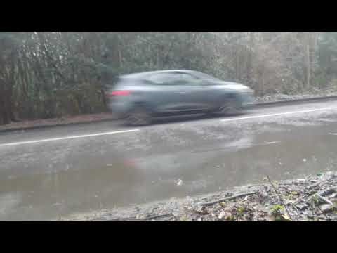 GAL DEL___ On Bus Route 269 (Spot)