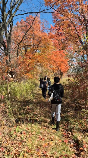 Ontario Nature on Reels