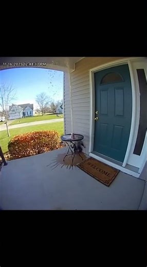 Monkey Steals Soda and It EXPLODES!